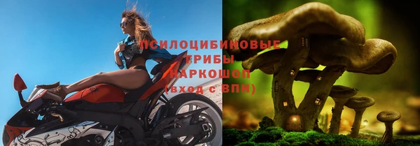 стаф Володарск