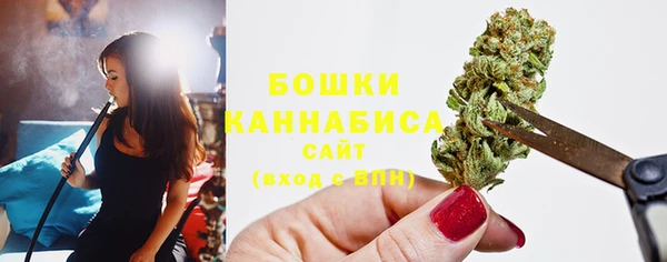 первитин Вяземский