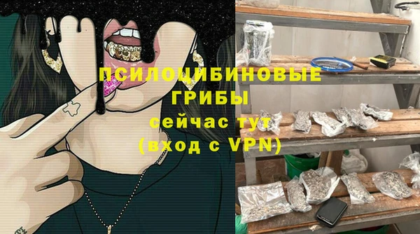 стаф Вязники