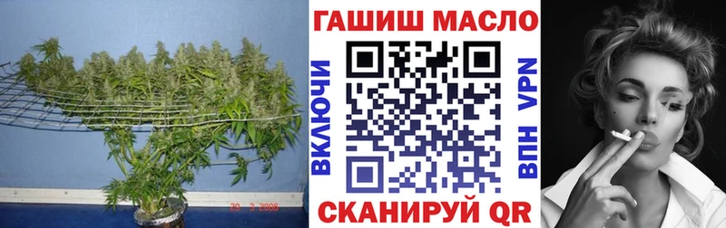 Купить где  Североморск  Дистиллят ТГК Wax 