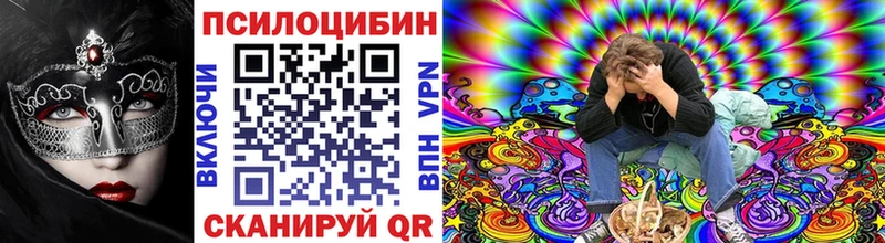 Псилоцибиновые грибы Psilocybe  Купить закладки  Североморск 