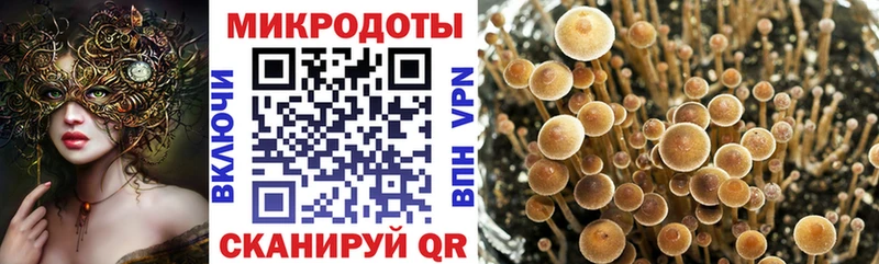 Галлюциногенные грибы Cubensis Североморск