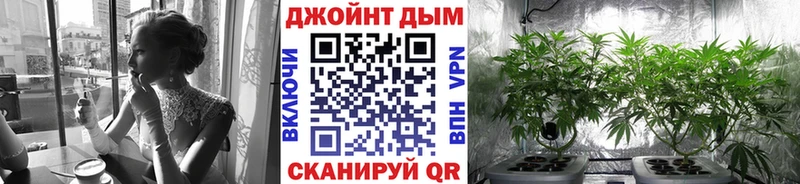 Купить закладки  Североморск  Бошки Шишки план 